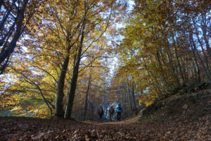 percezione_natura