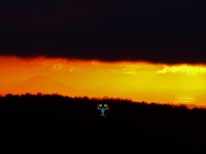 Stromboli-tra-cielo-e-terra