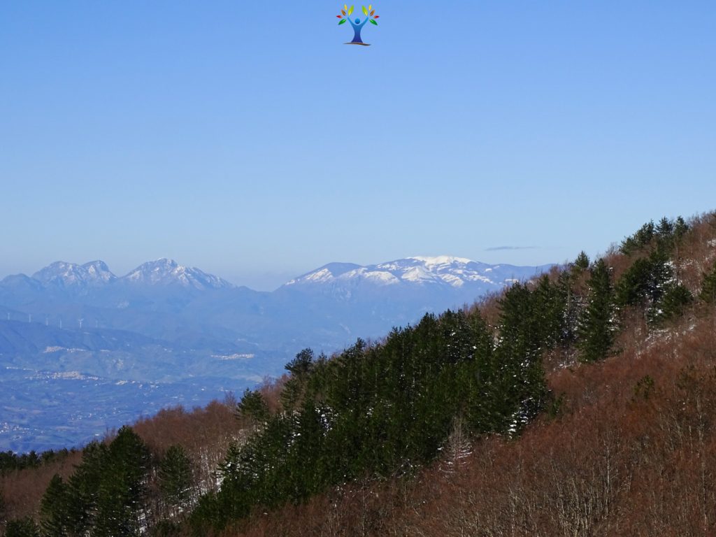 vista verso i monti dell'orsomarso