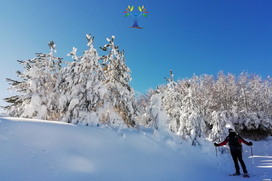 ciaspolata sulla neve in sila