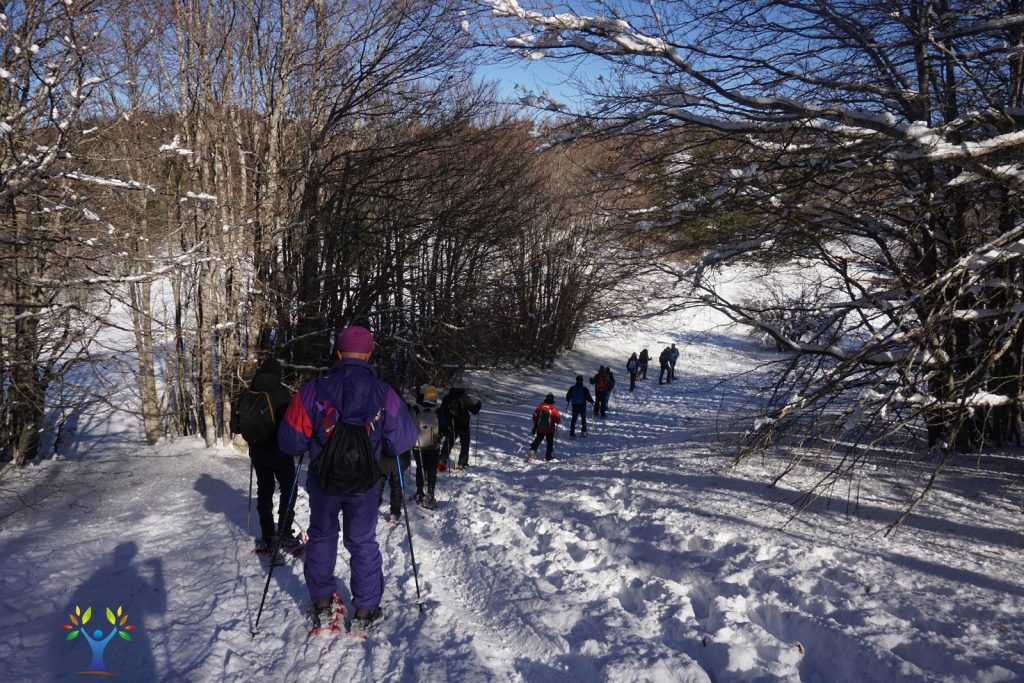 piccola discesa sulla neve