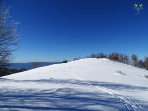 la-vetta-di-monte-scuro