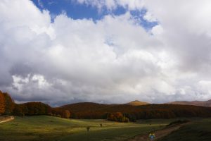 macchia-sacra-autunno