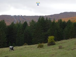 pascoli-macchia-fraga-botte-donato-alle-spalle