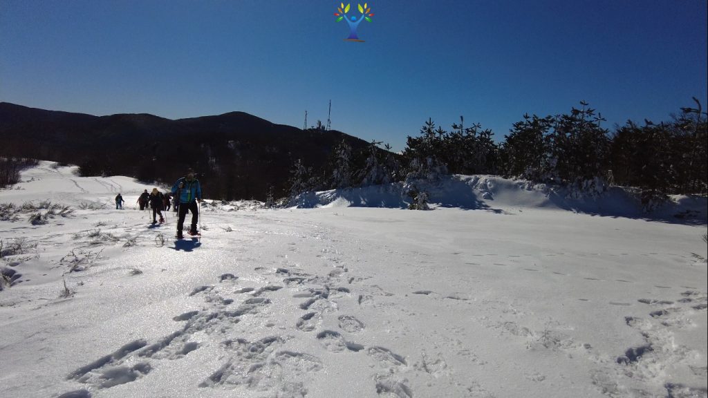 quasi in cima sulla pagliara