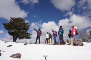 ciaspolata nel Parco nazionale della sila