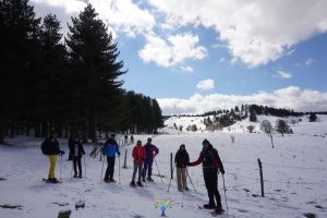 ciaspolata nel Parco nazionale della sila