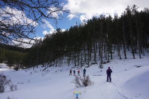 ciaspolata nel Parco nazionale della sila