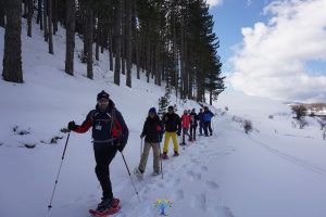 ciaspolata nel Parco nazionale della sila