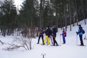 ciaspolata nel Parco nazionale della sila