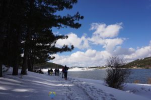 Lago ariamacina parco nazionale della sila