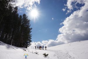 ciaspolata nel Parco nazionale della sila