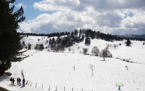 Parco nazionale della sila